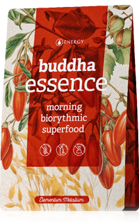 Buddha Essence WebRes